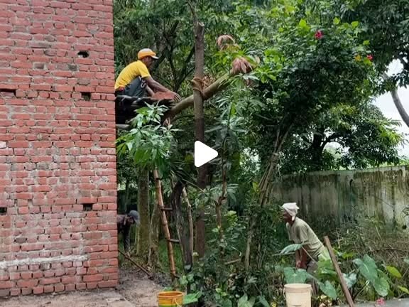 Instagram post preview of field work in Parsia