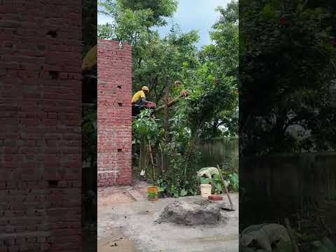 Initial plant construction video thumbnail